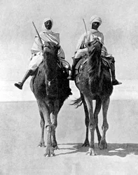 Deux Arabes à dos de chameaux dans le désert du Sahara, Afrique, 1936