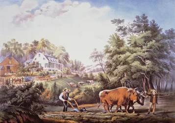 Scène de ferme américaine