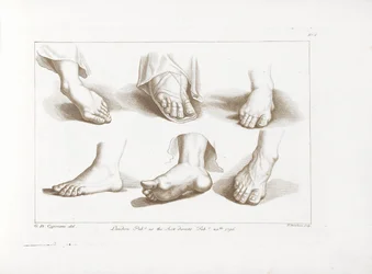 Six pieds