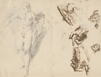 Apollon et études de la propre main de l