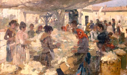 Le vendeur de laine