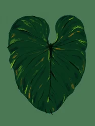 Feuille tropicale vert foncé