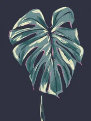 Feuille de monstera tropicale foncée