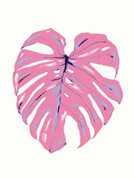 Monstera rose tropical