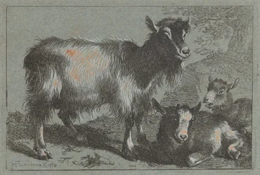 Chèvre et Deux Chevreaux, 1758