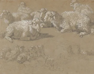 Mouton couché dans un paysage