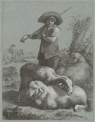 Garçon berger avec des moutons