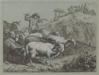 Berger avec son troupeau