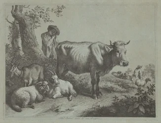 Vache debout et un berger avec son troupeau