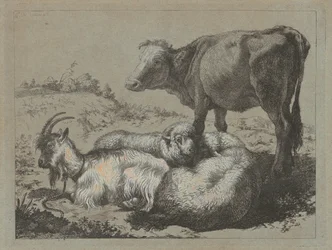 Bœuf debout, deux moutons et une chèvre, vers 1762