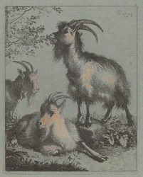 Trois chèvres, 1758