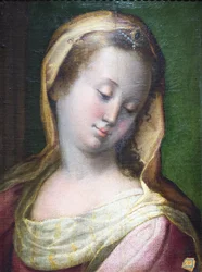 Tête de Madonna