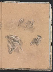 Carnet de croquis de Vérone : Études de draperie (page 69)