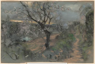 Un chemin de colline avec des cerisiers en fleurs sous un ciel couvert
