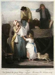 "Pois fraîchement cueillis jeunes Hastings", planche 7 de 