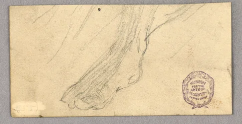 Un pied droit