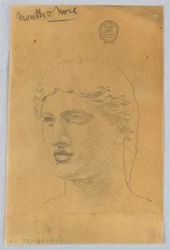 Croquis de la tête d