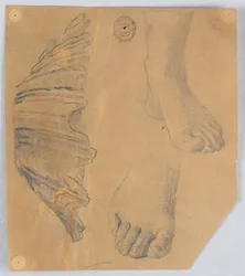 Études de pieds et une coquille cannelée