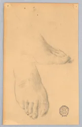 Étude de pieds