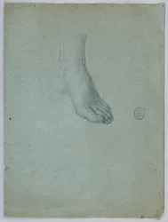 Étude du pied gauche