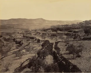Bethléem - Le champ des bergers