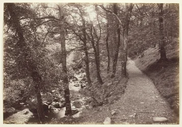 Dolgelley, Vue dans Torrent Walk