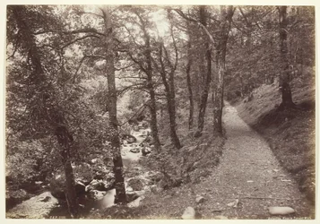 Dolgelley, Vue dans Torrent Walk