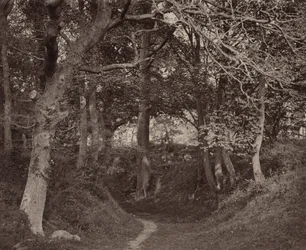 Glen Kenilworth