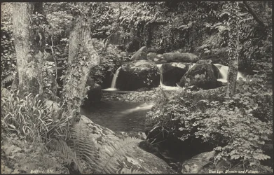 Glen Lyn, ruisseau et feuillage
