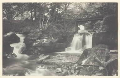 Glen Lyn, le pont rustique, 1860-94