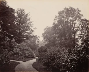 Allée dans Alexandra Park