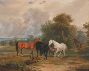 Chevaux paissant : Juments et poulains dans un champ