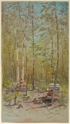 Bouleaux