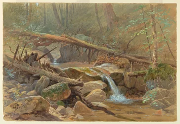 Étang dans les bois