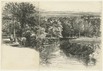 Deux ânes et la rivière Dundrum