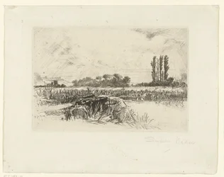 Prairie inondable