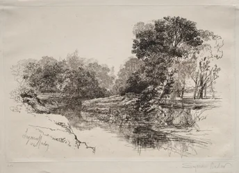 Une rivière en Irlande