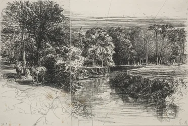 Rivière Dundrum et les deux ânes