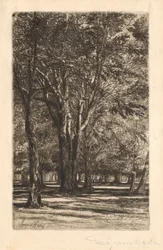 Jardins de Kensington, n° 2 (grande planche)