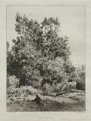 Paysage