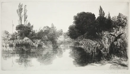 Étang de Shere Mill, n° 11 (La Grande Plaque)