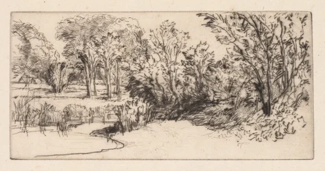 Le petit Longparish