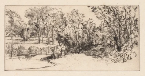 Le petit Longparish