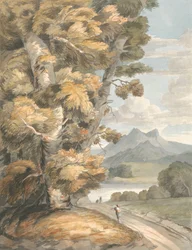 La route du lac