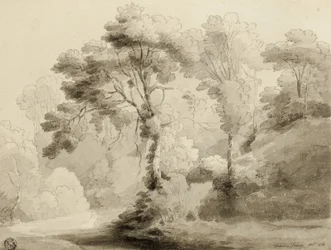 Paysage boisé