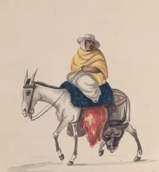 Un boucher à dos d