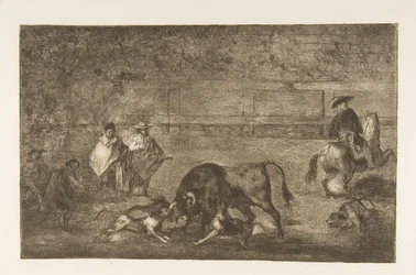 Planche C : Les chiens lâchés sur le taureau, vers 1816