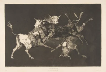 Planche D des Disparates : Fous ou Petits Taureaux - folie, vers 1816-1823 publié en 1877