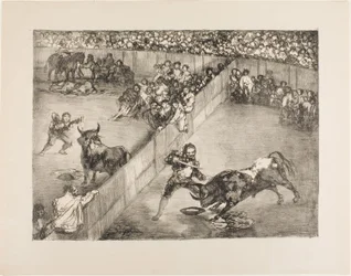 Corrida dans une arène divisée, des Taureaux de Bordeaux