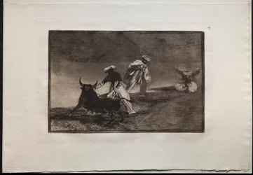 Corridas : Ils jouent un autre avec la cape dans un enclos, 1876